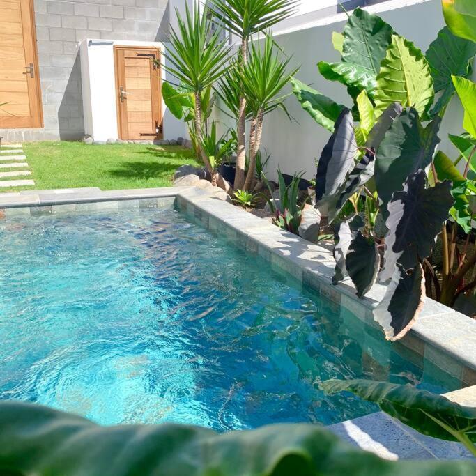Villa Le Yucca 974 By J&V Saint Pierre Exterior foto