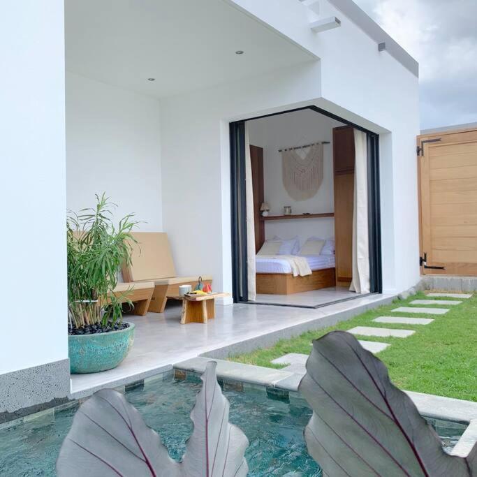 Villa Le Yucca 974 By J&V Saint Pierre Exterior foto
