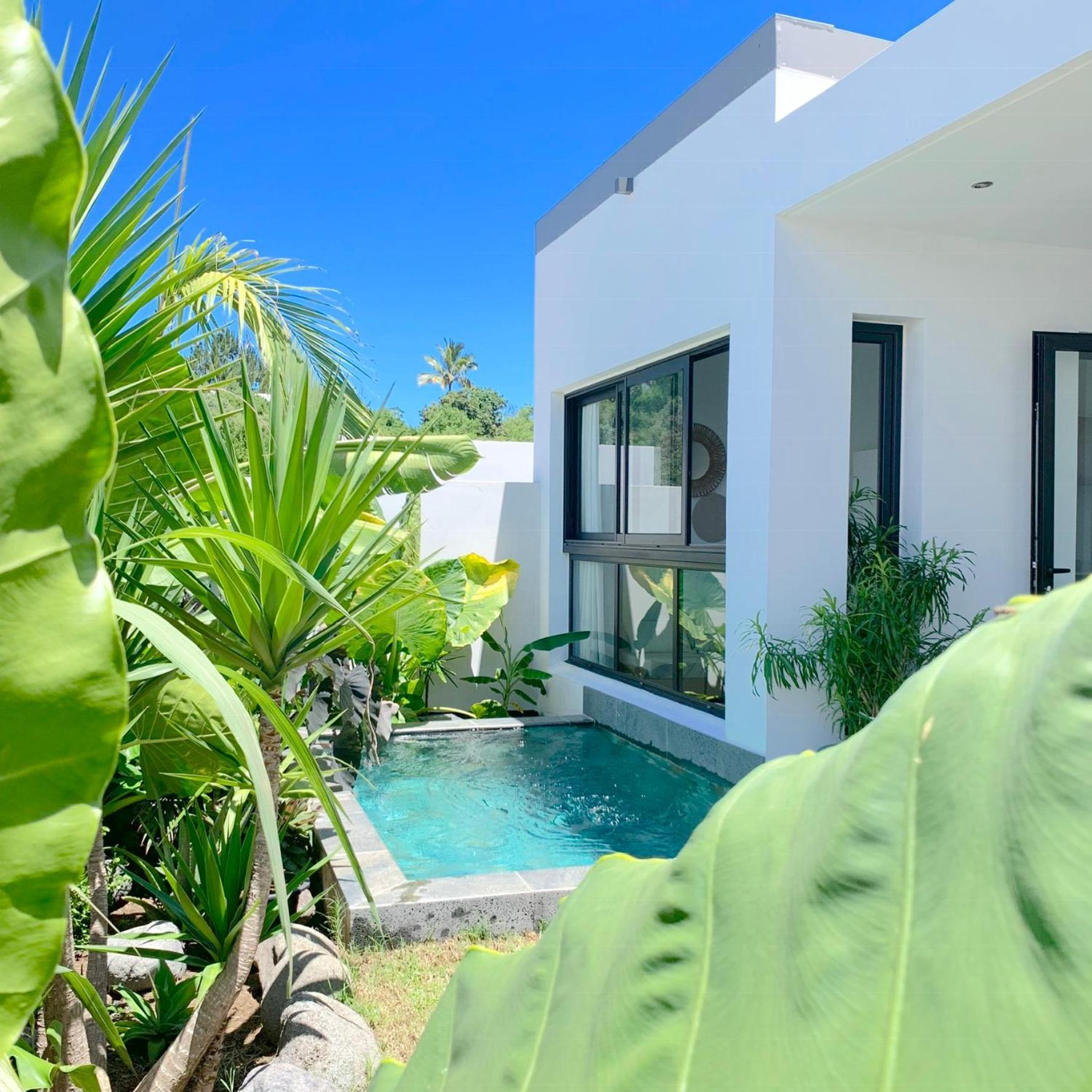 Villa Le Yucca 974 By J&V Saint Pierre Exterior foto